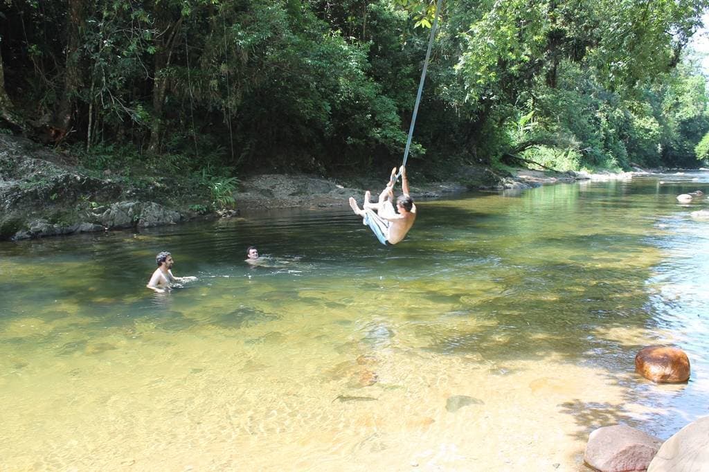 O que fazer em Joinville perto da natureza