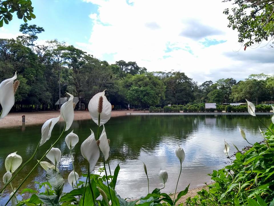 Parque Ecológico Caminho das Águas