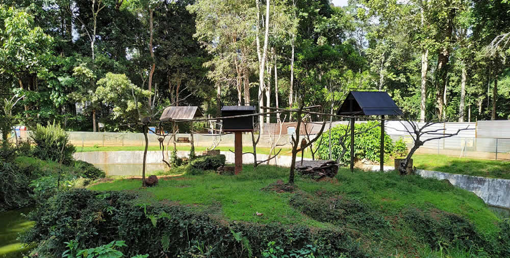 Parque Zoobotânico