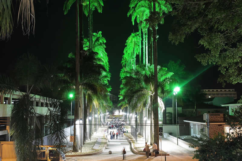Rua das Palmeiras