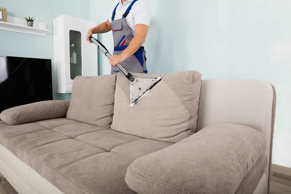 Limpe bem os sofás e tapetes