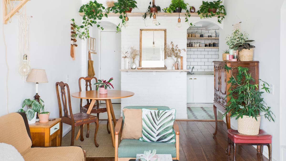 Plantas Para Apartamentos