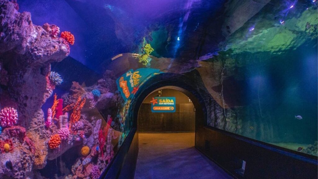 Oceanic Aquarium – Foto: Divulgação Oceanic Aquarium