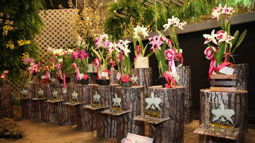 Festa das Flores