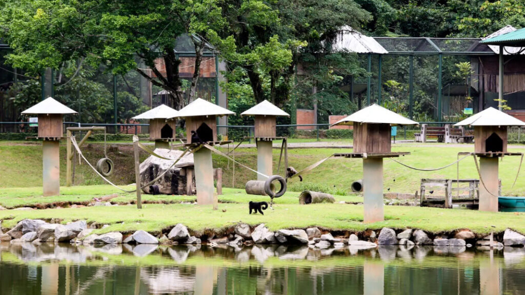 Parque Zoobotânico