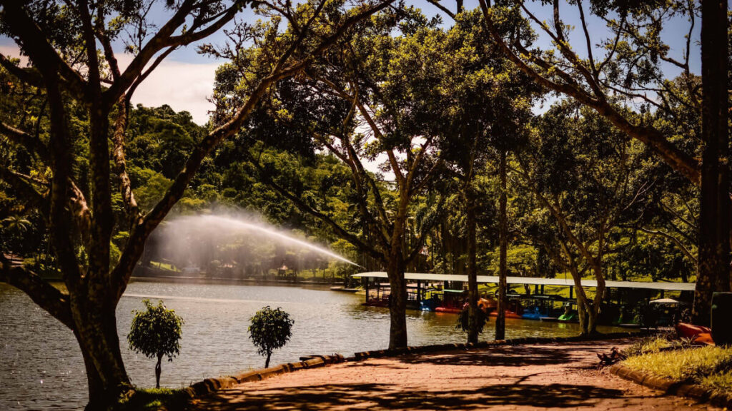 Parque Malwee - Jaraguá do Sul – Foto: Divulgação Facebook Parque Malwee