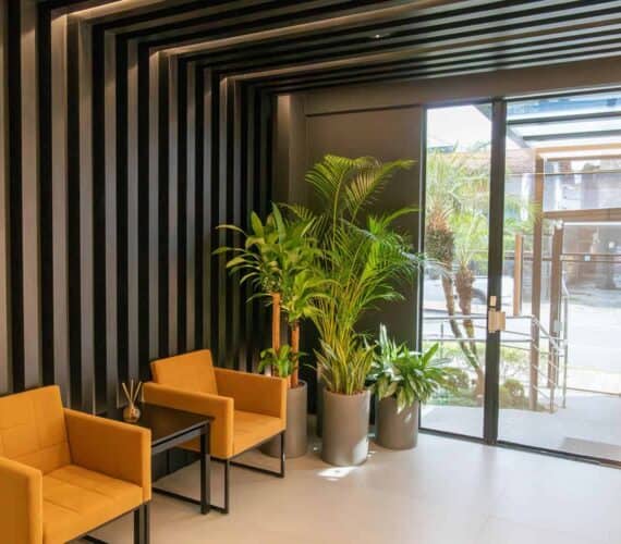 Savannah Residencial